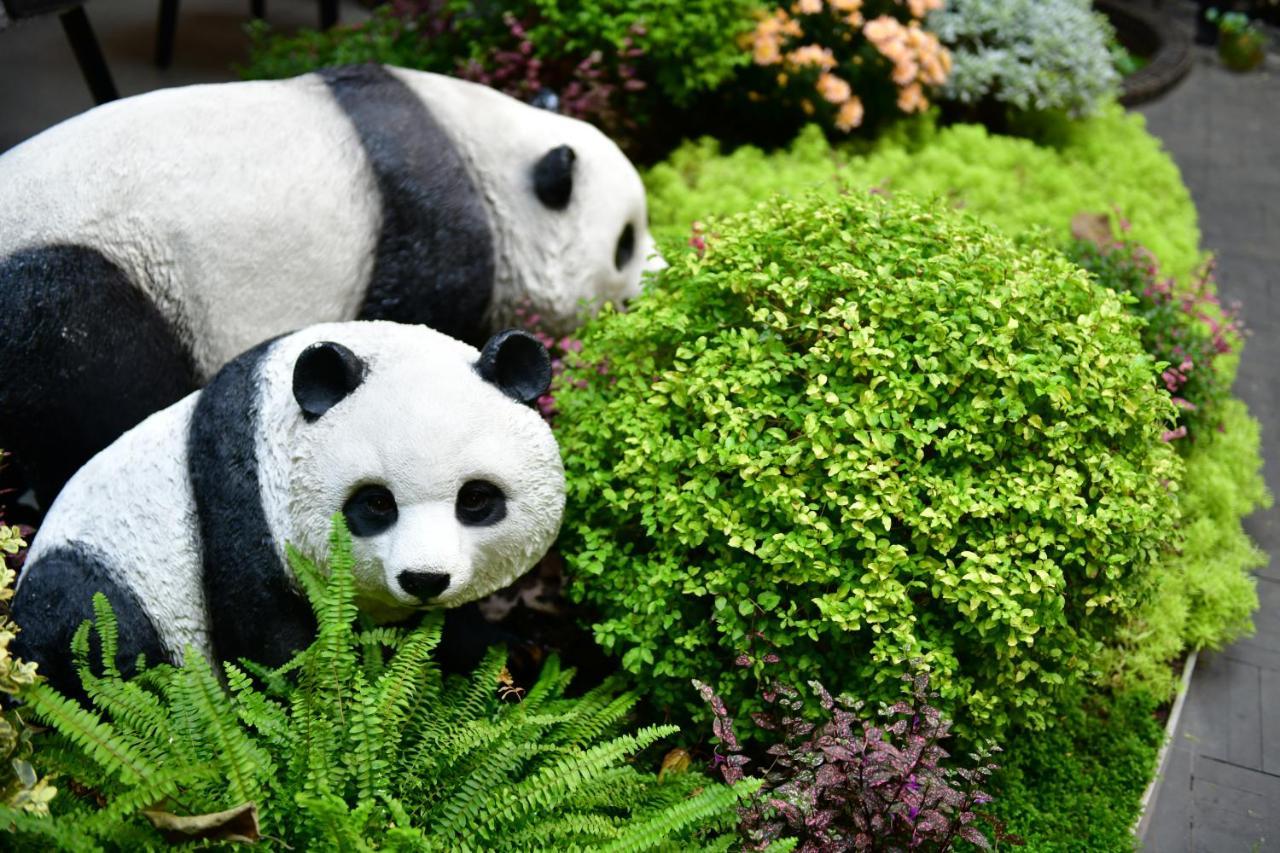 Xishu Garden Inn - Travel Agency Service - Car Rent Service - English Speaking Chengdu Exterior photo